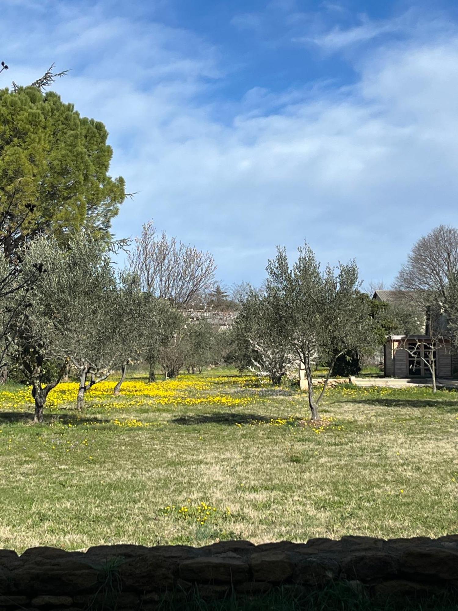 Le Nomade En Provence Bed and Breakfast Bouchet  Εξωτερικό φωτογραφία