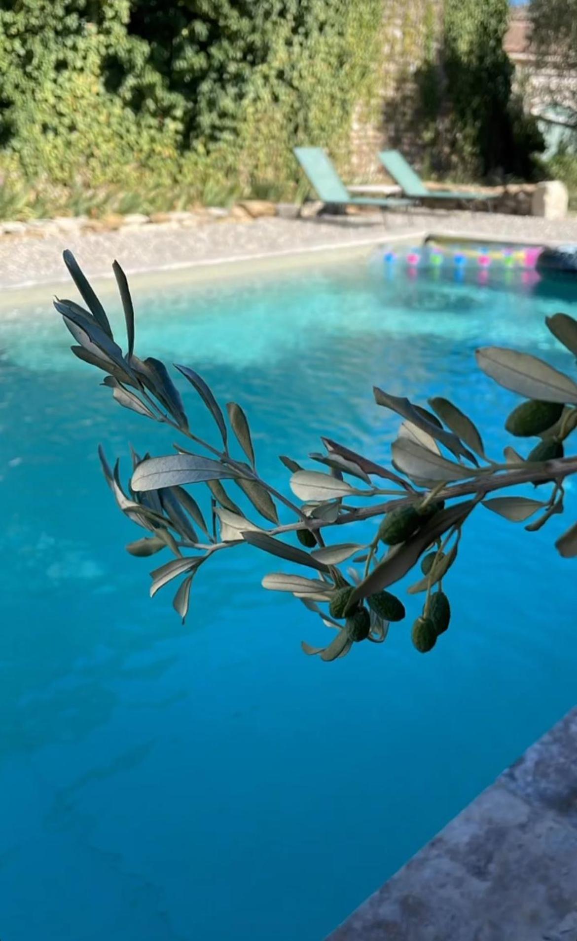 Le Nomade En Provence Bed and Breakfast Bouchet  Εξωτερικό φωτογραφία